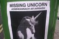 Attention Everyone! We Need Your Help – We Are Still Missing A Unicorn!