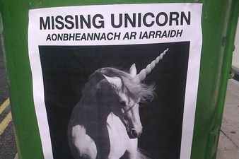 Attention Everyone! We Need Your Help – We Are Still Missing A Unicorn!