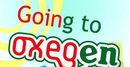 PHOTO: Underwhelmed By This Year’s Oxegen Line-Up? One Irish Person Has Changed It Up A Bit…