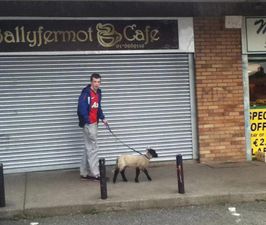 Spotted In Ballyfermot Today… Are We Seeing Straight?