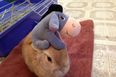 Well… That’s An Interesting Hat: Meet The Internet’s Newest Celebrity…