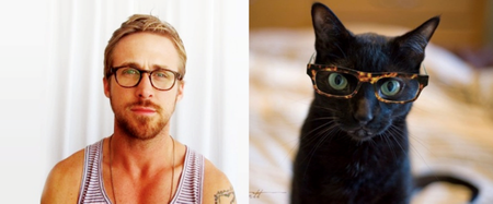 Could This Be THE Best Blog Ever? Let Us Present Des Hommes Et Des Chatons…