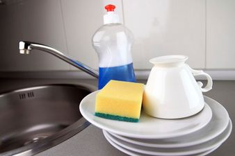 These Are The Most Bacteria Riddled Items In Your Kitchen…