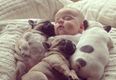 The Internet Just Melted: Everybody’s Talking About This Adorable Snap