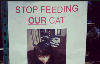 Just A Small Note To Say… Cat Owner Has Twitter Laughing With Tree Notice