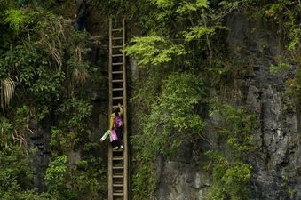 Is That Ladder Safe? The Most Terrifying School Commute You’ll Ever See…