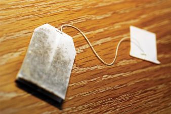 You Call That a Tea Bag? No, THIS Is a Tea Bag!