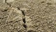“Felt The Bed Shaking!”: Irish Sea Earthquake Shakes The East Coast