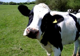 PICTURE: Quite Possibly The Funniest And Most Irish Text Message You’ll See This Week