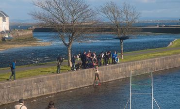 How To Save A Life: The People Of Galway Rescued A Dog Yesterday