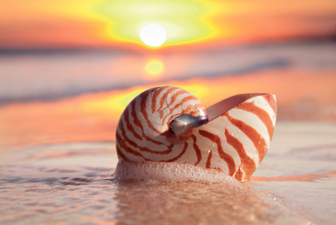 Party Playlist: Her.ie’s Essential Holiday Tunes