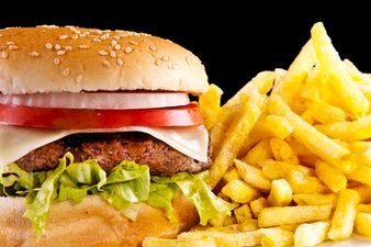 Forget Horse Burgers, It’s All About Test-Tube Burgers Now!