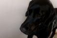 Make You Feel My Love: Dog “Sings” Along To His Favourite Tune By Adele