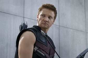 Jeremy Renner Out Of Avengers Sequel? Hawkeye May Be Recast For Avengers 2