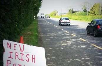 PICTURE: We Have All Seen Plenty Of Misspelt Irish Signs But This One Takes The Biscuit