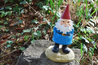 GALLERY – Fourteen Photos Of The Strangest Garden Gnomes