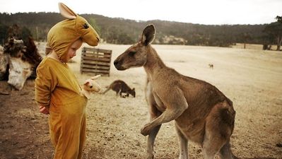 PHOTO: The Cutest Snapshot You’ll See Today: Kangaroo Meets A Kid In A Onesie
