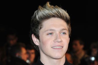 Niall Horan Thanks Fans After Tickets Sell Out