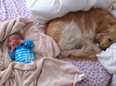 Best Buddies: Model Shares Adorable Snap Of Newborn And Her Beloved Dog