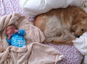 Best Buddies: Model Shares Adorable Snap Of Newborn And Her Beloved Dog