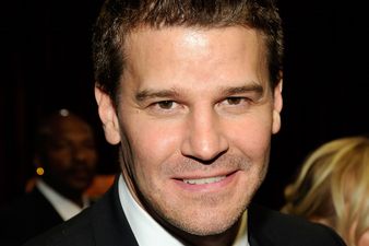 Her Man Of The Day… David Boreanaz