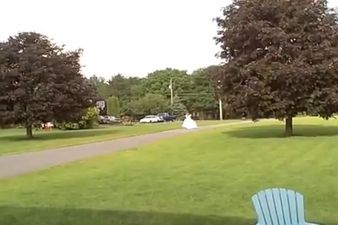Who Let The Dog Out? Bride’s Nightmare As Enthusiastic Pup Chases Her Around The Garden