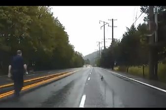 Stop! Ducks Are Trying To Cross The Road! The Nicest Police Officer EVER