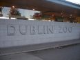PICTURES: Dublin Zoo Says It As It Is…