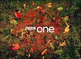 Epic News!!! BBC Offer Comic Genius His Own Saturday Night Show