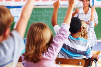 “Plants Miss!!!”: One Third Of Kids Believe Cheese Comes From Plants