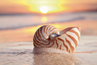 Party Playlist: Her.ie’s Essential Holiday Tunes