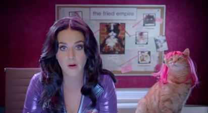 VIDEO: Katy Perry In Her Weird New Popchips Ad