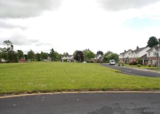 Students In Limerick Lure Small Dog To Its Death In Drunken Game