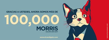 “Tired of Voting for Rats? Vote for a Cat!” Furry Feline Stands For Election in Mexico