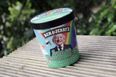 GALLERY – Now You Can Have Your Favourite Irish Celebrity On Your Favourite Tub Of Ben And Jerry’s