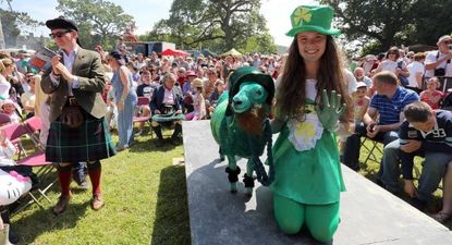 This Weekend, You…Should Appreciate Something Irish