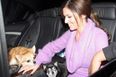 “I Have Had Her Since She Was 2 Months And I Was 16” Cheryl Cole “Heartbroken” Over Dog’s Cancer