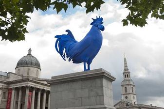 PICTURE – Large Blue Cock Erected In London’s Trafalgar Square