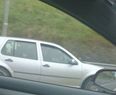 PICTURE: Udder-ly Fantastic… Two Cows In The Backseat Of A Car On The M50