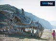 Mother of Dragons! Giant Game of Thrones Dragon Skull Appears on British Beach