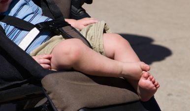 Family Matters: Nearly Four Out of Ten Buggies Tested Have High Levels of Bacteria