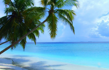 They Claim It’s The Best Job Around The World… And It Probably Is