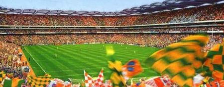 Would You Sacrifice All This To See Your County Win An All-Ireland?