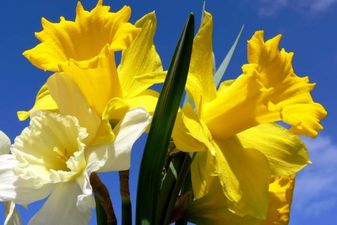 Rallying Together on the Day: Part Four of Organising the Ultimate Fundraising Event