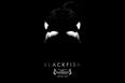 REVIEW – Blackfish, SeaWorld’s Worst Nightmares On The Big Screen