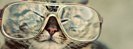 Twelve Things Hipsters Ruined For The Rest Of Us