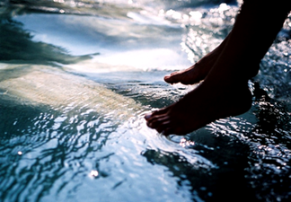 Man Fined $500 for Swallowing Human Toe