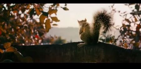 Squirrels: The Most Bizarre “Horror” Movie Trailer We’ve Seen Yet
