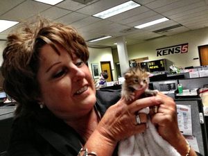 In Photos: Tiny Rescued Kitten Makes Itself at Home in TV Station