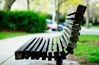 PICTURE – Is This The Best Park Bench Sign We Have Ever Seen? Most Likely